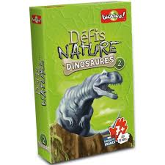 Image sur Dino challenge 🐶