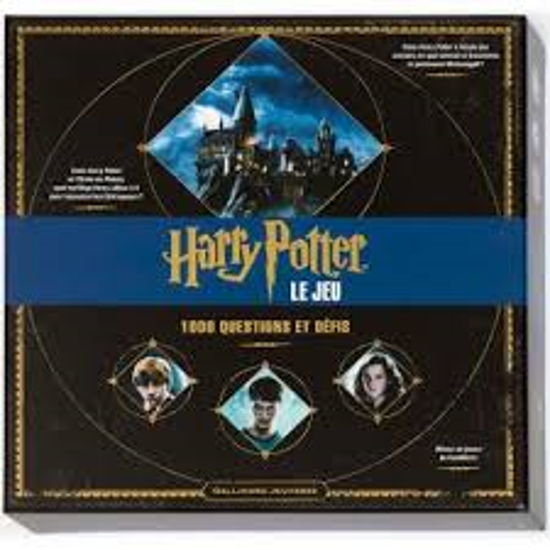Image sur Harry potter le jeu, Socadis🐶