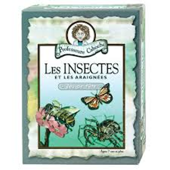 Image sur Les insectes et les araignées 🐶