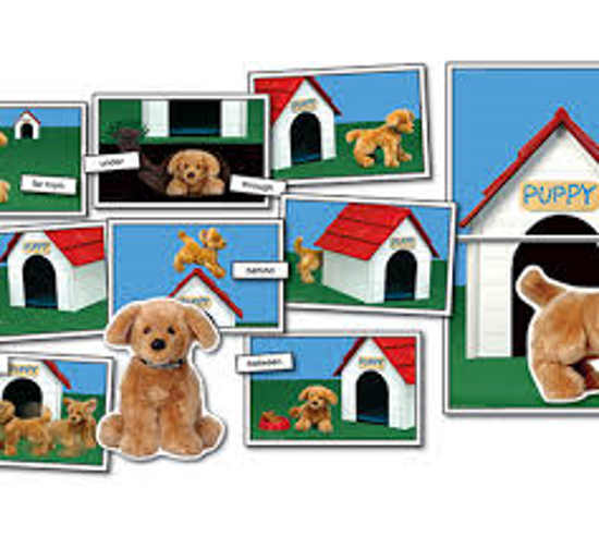 Image sur Social Sequences - de positionnement, LDA🐶