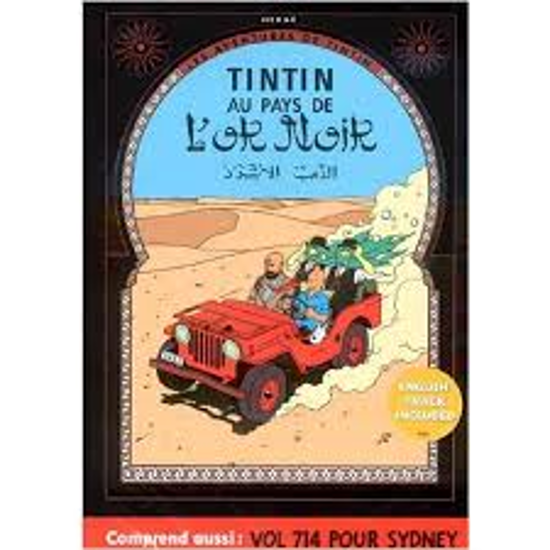 Image sur Dvd, Tintin au pays de l'or noir 🐶