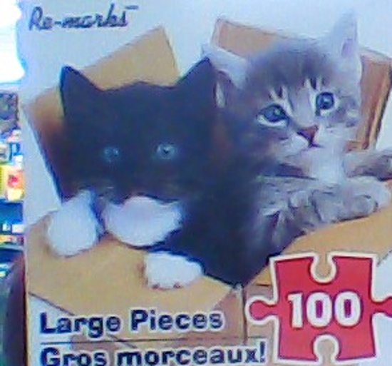 Image sur Casse-tête deux petits chatons dans une boîte, Re-marks🐶