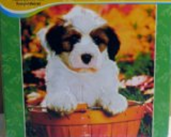 Image sur Casse-tête chien textur, Kodacolor 🐶
