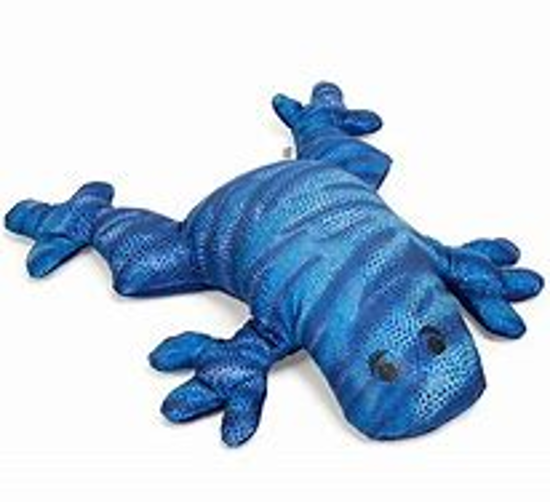 Image sur Grenouille lourde bleu avec tâches