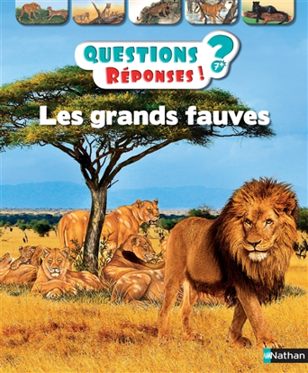 Image de Livre, questions & réponses les grand fauves 🐶