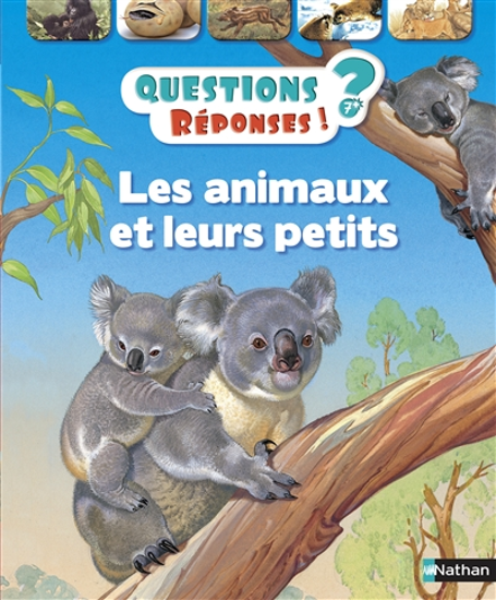 Image sur Livre, questions & réponses les animaux et leurs petits 🐶