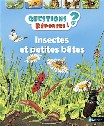 Image de Livre, questions & réponses insectes et petites bêtes 🐶