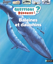 Image de Livre, questions & réponses baleines et dauphins 🐶
