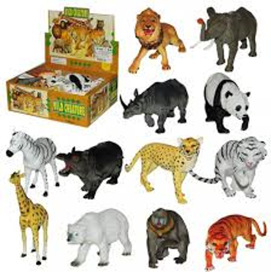 Image sur Animaux, Planet animal🐶