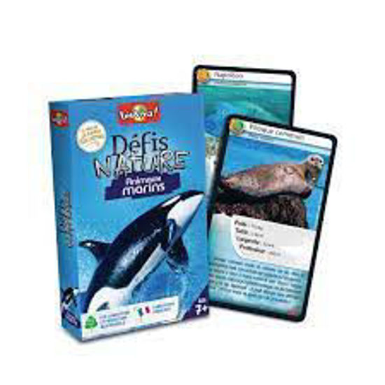 Image sur Défis nature animaux marins 🐶