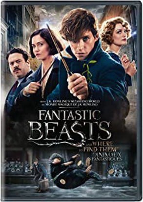Image de Dvd, les animaux fantastiques 🐶