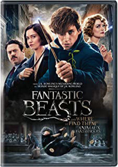 Image sur Dvd, les animaux fantastiques 🐶
