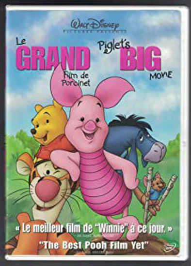 Image sur Dvd, le grand film de Porcinet 🐶