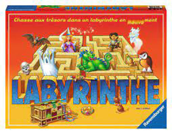 Image sur Labyrinthe en mouvement 🐶