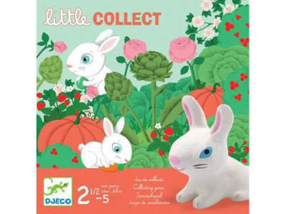 Image de Little collect 🐶