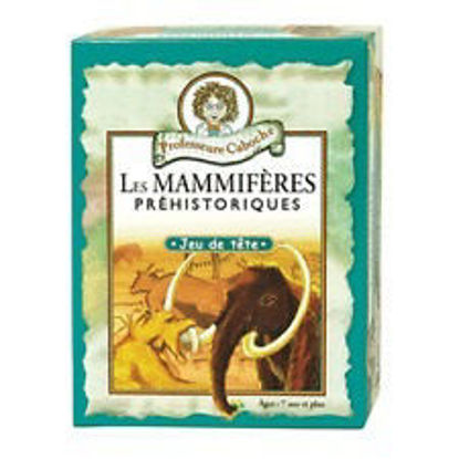 Image de Les mammifères préhistorique 🐶