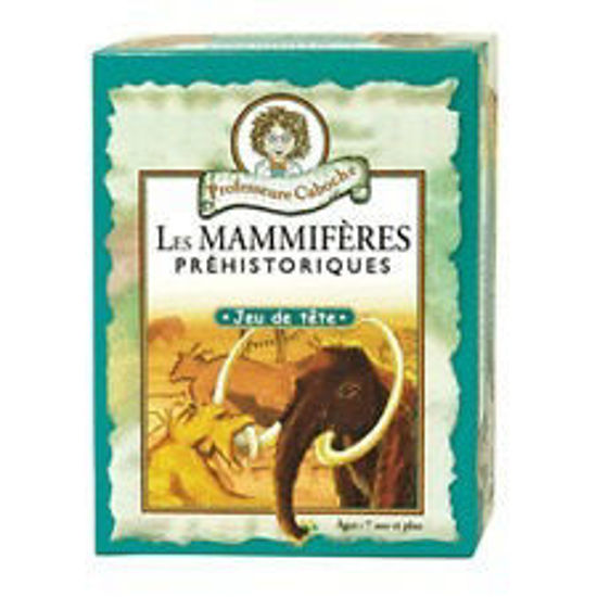 Image sur Les mammifères préhistorique 🐶