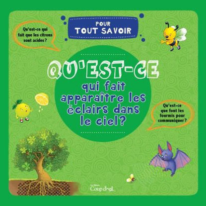 Image de Livre, qu'est-ce qui fait apparaitre les éclairs dans le ciel 🐶