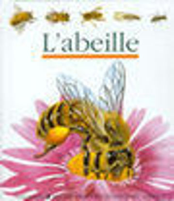 Image de Livre, l'abeille 🐶