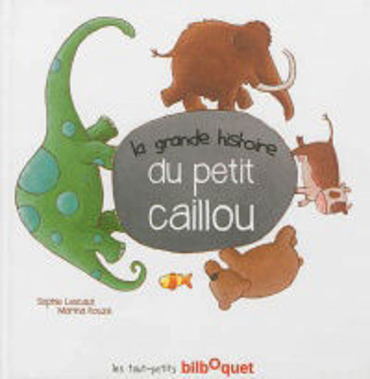 Image sur Livre, la grande histoire du petit caillou 🐶