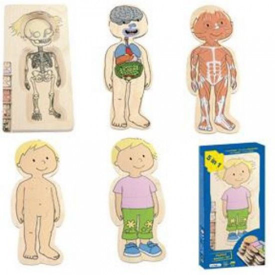 Image sur Casse-tête en étage fille anatomie  🐶