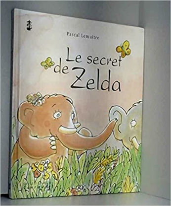 Image de Livre, le secret de Zelda 🐶