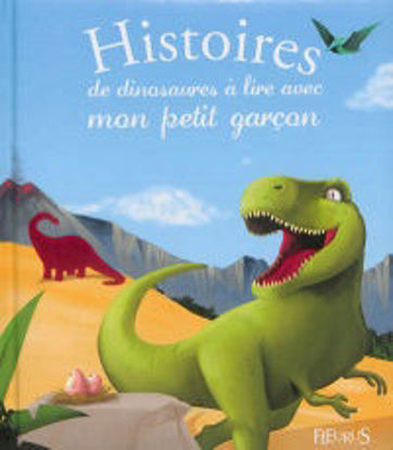 Image de Livre, histoires de dinosaures à lire avec mon petit garçon 🐶