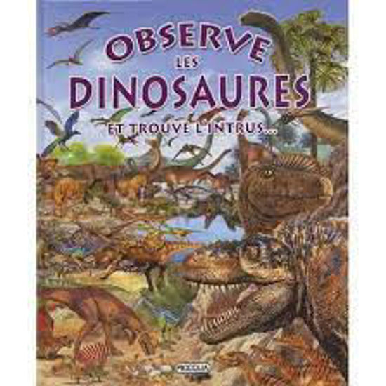 Image sur Livre, observe les dinosaures 🐶