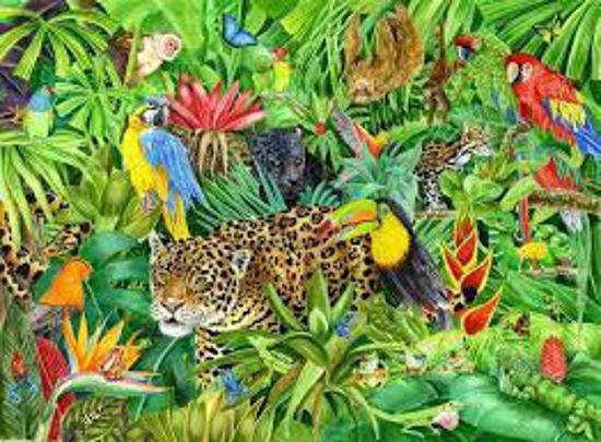 Image sur Casse-tête forêt tropicale 🐶
