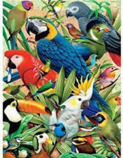 Image sur Casse-tête avian world 🐶