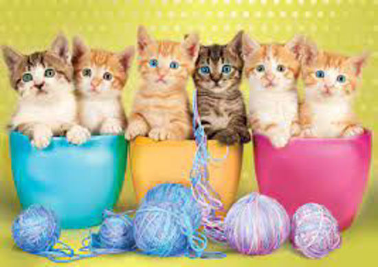 Image sur Casse-tête kittens in cups 🐶