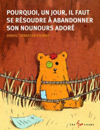 Image de Livre, pourquoi, un jour, il faut se résoudre à abandonner son nounours 🐶