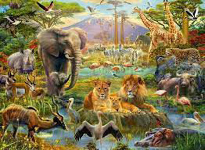 Image de Casse-tête animaux de la savane 🐶