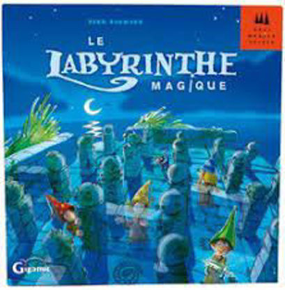 Image de Le labyrinth magique 🐶