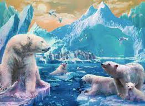 Image sur Casse-tête au royaume des ours polaires 🐶