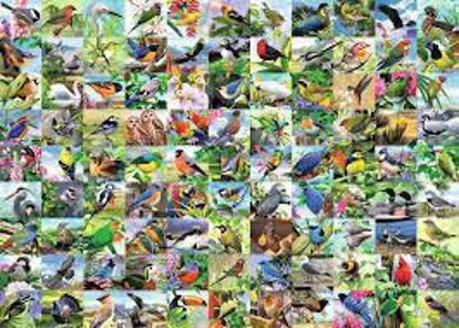 Image de Casse=tête 99 charmants oiseaux 🐶