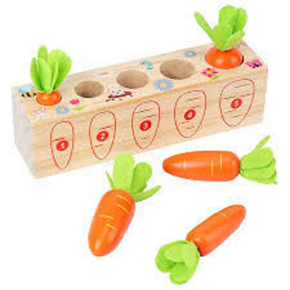 Image de Counting carrots 🐶