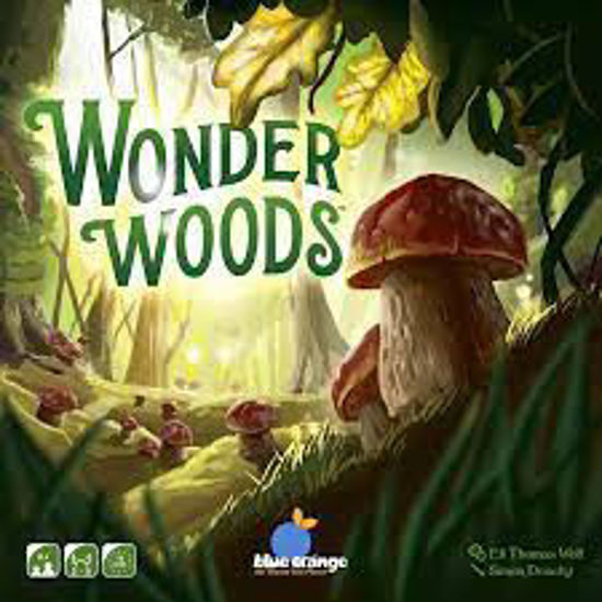 Image sur Wonder woods