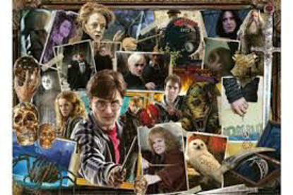 Image de Harry Potter contre Voldemort 🐶