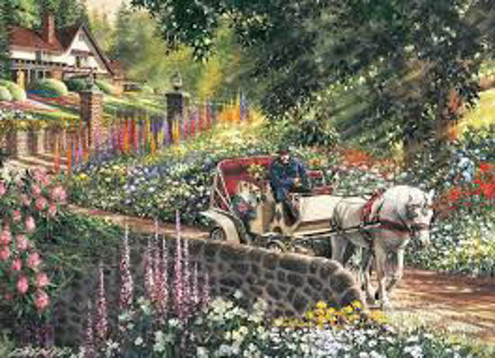 Image sur Carriage ride 🐶