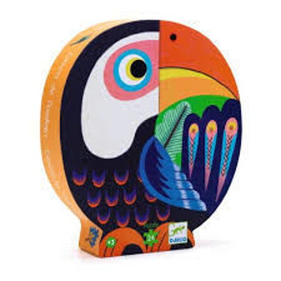 Image sur Coco le toucan 🐶