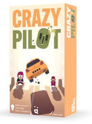 Image de Crazy pilot 🐶