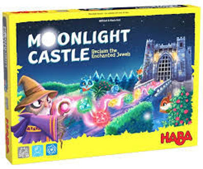Image de Moonlight castle 🐶