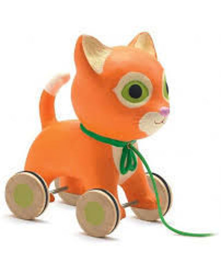 Image sur Chat orange à roulette 🐶