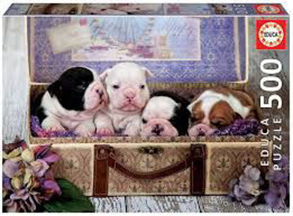 Image de Chiens 🐶
