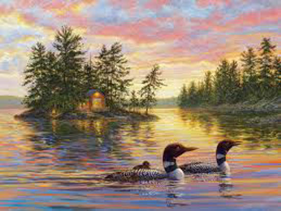 Image sur Tranquil evening 🐶