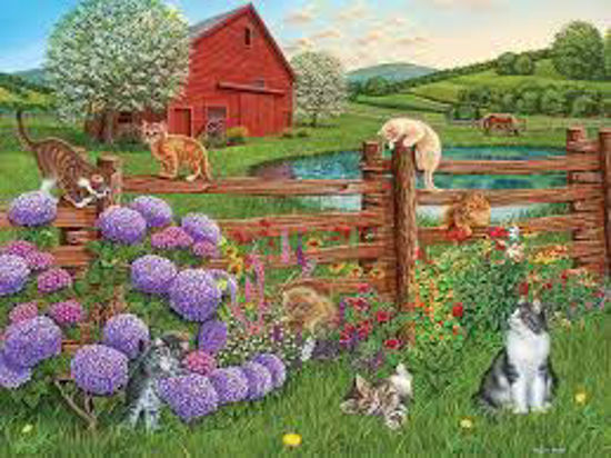 Image sur Farm cats 🐶