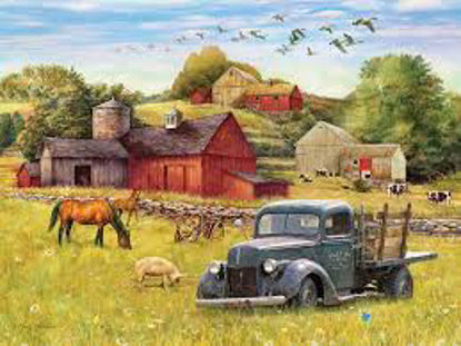 Image de Summer afternoon on the farm 🐶