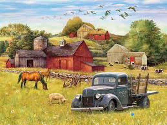 Image sur Summer afternoon on the farm 🐶
