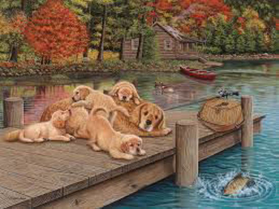 Image sur Lazy day on the dock 🐶
